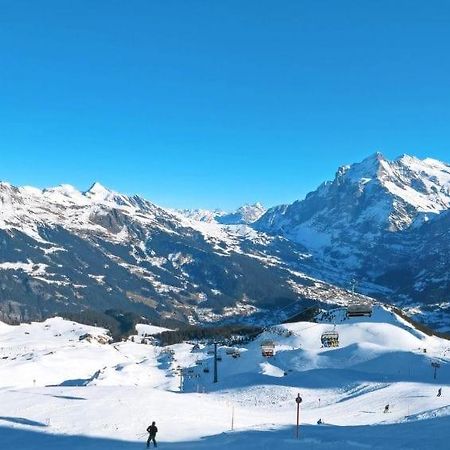 Chalet Aphrodite Ost Apartment Grindelwald Exterior foto