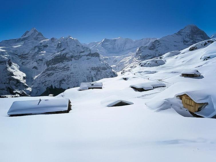 Chalet Aphrodite Ost Apartment Grindelwald Exterior foto